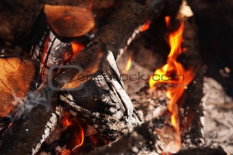 macro bonfire