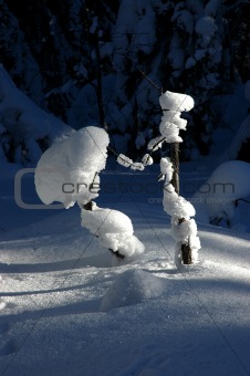 Small snow animals