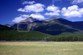 Rocky Mountain Field