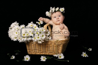 Baby and daisies