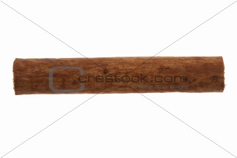 Single cinnamon stick