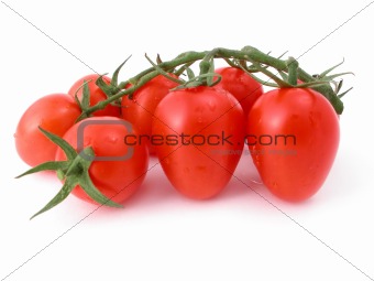 tomatoes against a white background