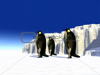 Penguins 15