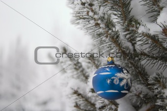 evergreen with christmas decoration