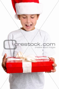 Joyful boy with Christmas present