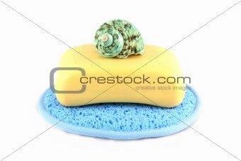 Soap in a cloth with a sea shell