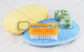 Soap, brush and cloth 