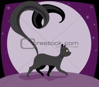 Kitty Noir