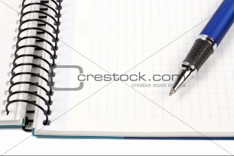 Detail of pen and blank notebook sheet