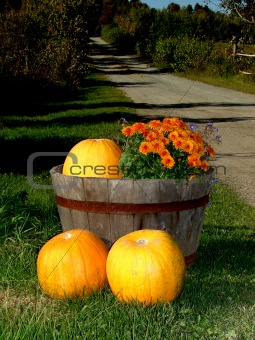 Pumpkins and flowers