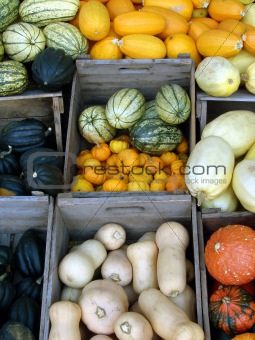 Squashes in boxes