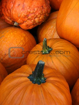 Samll pumpkins