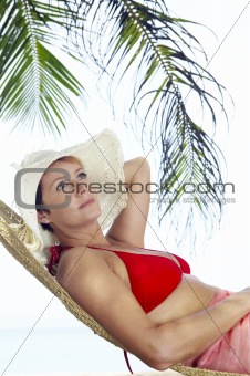 tropic hammock