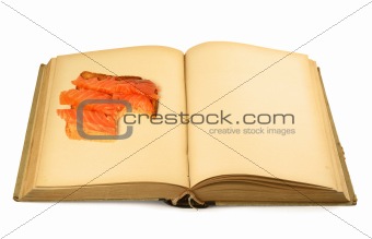 open blank book with sandwich