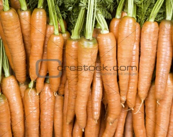 Bright Orange Carrots