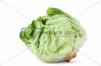 lettuce head on white