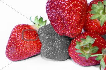 strawberry outcast 