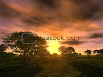 sunset_trees