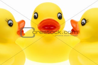 small yellow plastic ducks