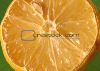 lemon details