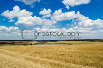 rural view