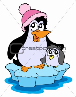 Two penguins on iceberg vector illustration
