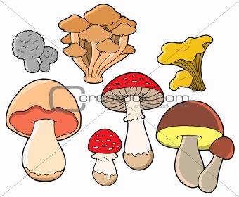 Various fungi collection