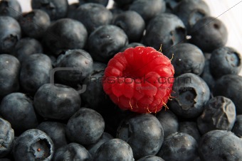 single raspberry on black currant