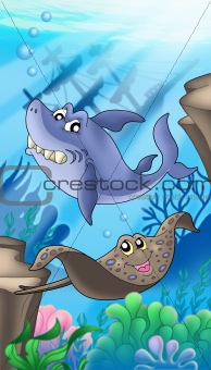 Shark and eagle ray with shipwreck