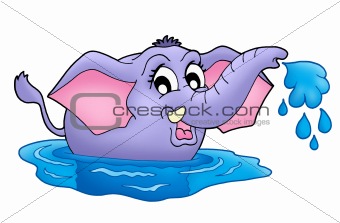 Small elephant in water