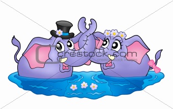 Two elephants in water