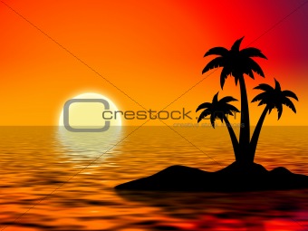 tree palms