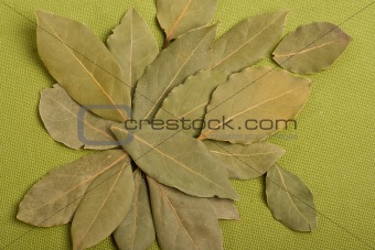 Bay leaves on green
