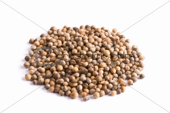 Pile of coriander close up isolated 