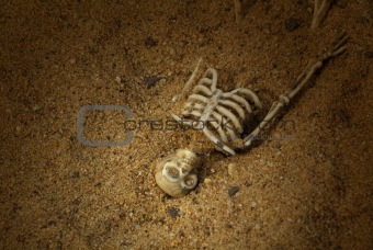 Buried Skeleton