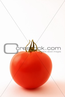Lone tomato on white
