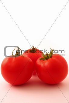 Three tomatoes on white