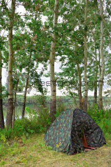 On shore near the trees installed tent