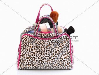 cosmetic bag