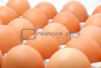 Eggs in cardboard packing