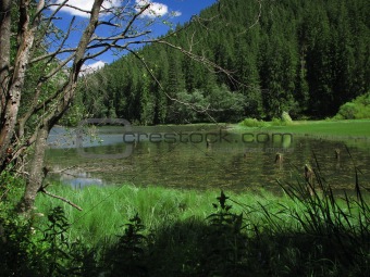 Lake and vegetation