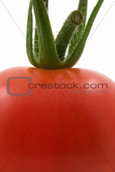 Tomato close-up