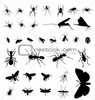 insect silhouettes