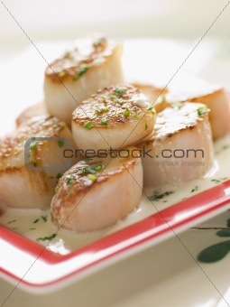 Seared Scallops with Cava Cream and Herb Sauce