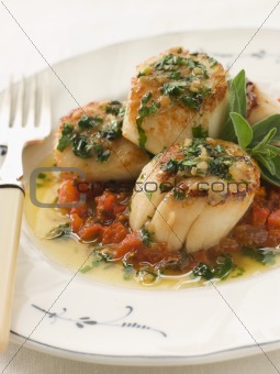 Pan Fried Scallops Piperade and Garlic Butter