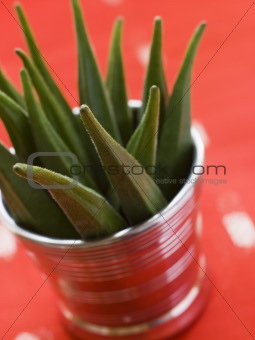 Pot filled with Okra