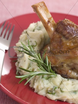 Slow Roasted Shank of Spring Lamb with Champ