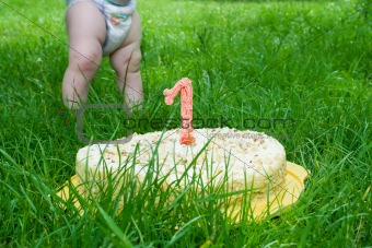 Birthday cake in grass