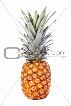 Colorful ripe pineapple