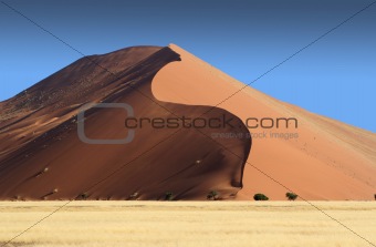 Serpentine Dune